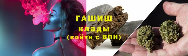 винт Абаза