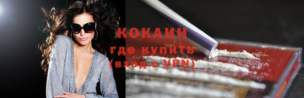 прущие грибы Покачи