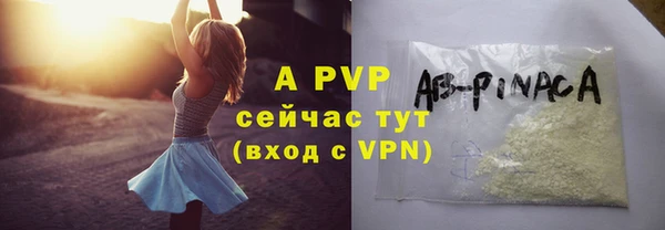 винт Абаза