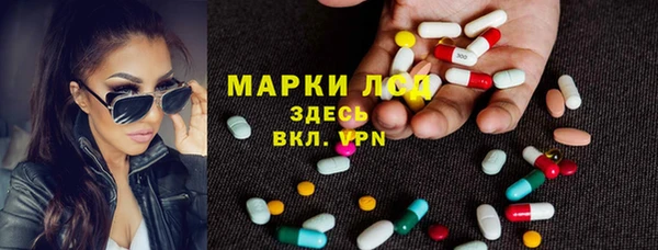 винт Абаза