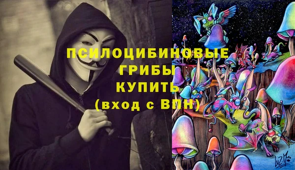 винт Абаза